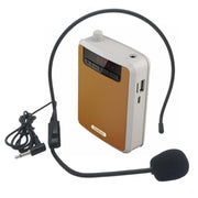 Rolton K300 Portable Voice Amplifier Supports FM Radio/MP3(Orange)