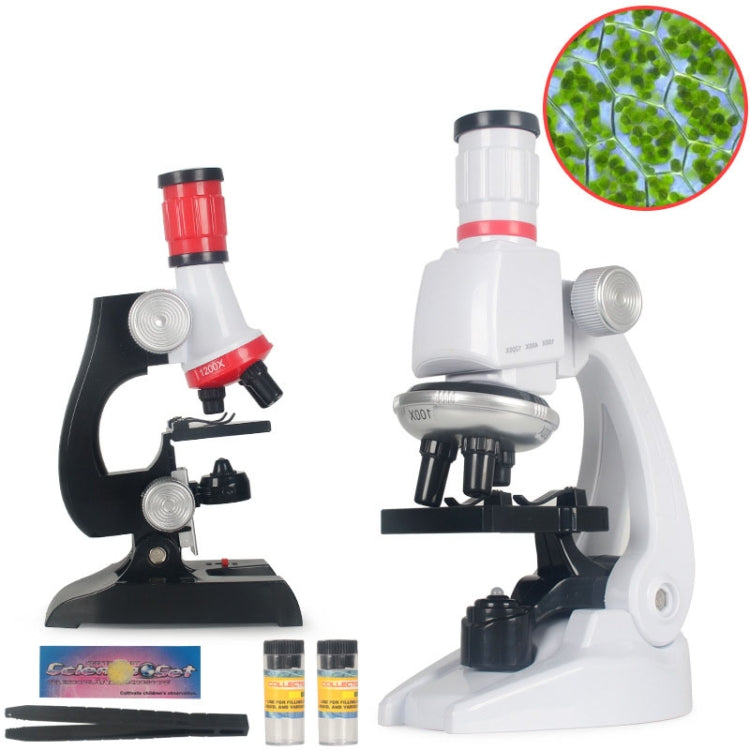 Early Education Biological Science 1200X Microscope Science And Education Toy Set For Children S