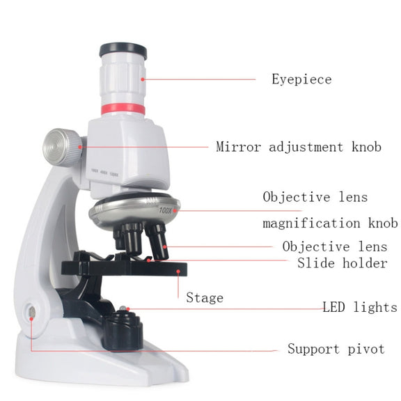 Early Education Biological Science 1200X Microscope Science And Education Toy Set For Children L