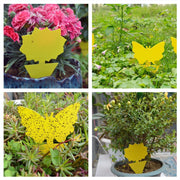 10pcs Double-Sided Yellow Board Sticky Insect Board Insect Trap Heterogeneous Physical Sticky Insect Board, Random Style Delivery
