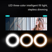 FP-10 Desktop Multi-Function Photography Support Phone Live Stand LED Fill Light, Specification: Desktop Bracket + Phone Clip