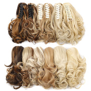 Women Curly Hair Short Ponytail Wig With Shark Clip(12H24 #)