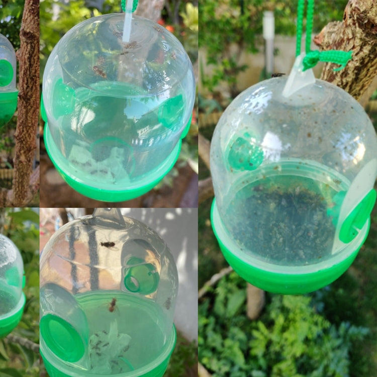 Hanging Type Wasp Flies Killer Trap, Specification: Capsule Type