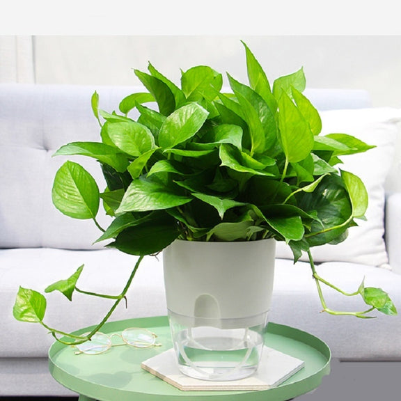 Transparent Plastic Double-Layer Water Storage Automatic Water-Absorbing Flowerpot, Size: A705 Caliber 10.5cm(White Transparent Basin)