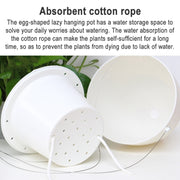 Wire Hanging Plastic Flowerpot With Automatic Water Absorption And Frosted Surface(D09 Caliber 19cm)