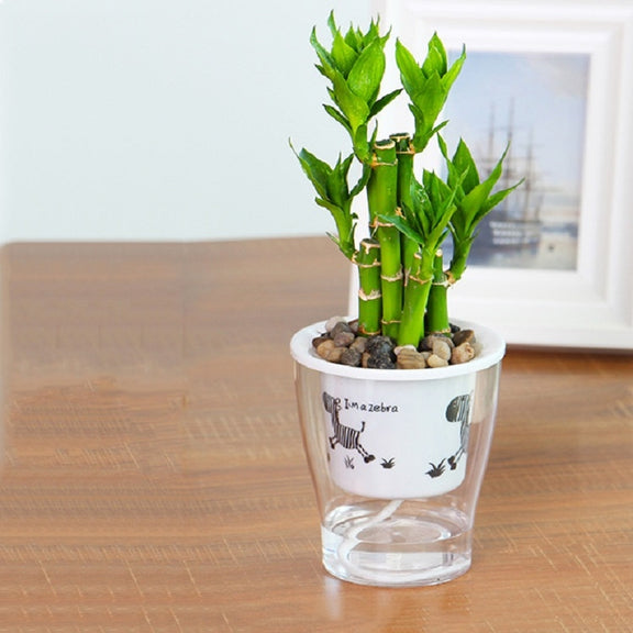 Fully Transparent Hydroponic Flower Pots Water Level Visible Non-Broken Glue Self-Absorbent Plastic Flower Pots, Size: W03 Caliber 11cm(Full Transparent Zebra Pattern)