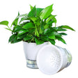 Fully Transparent Hydroponic Flower Pots Water Level Visible Non-Broken Glue Self-Absorbent Plastic Flower Pots, Size: W05 Caliber 13cm(Full Transparency) - free shipping - PMc TechLife - Order now!