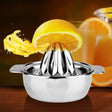 Stainless Steel Juicer Manual Juicer - free shipping - PMC TechLife - Order now!