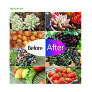 50W Ultra-Thin LED Plant Light, Full Spectrum COB Growth Light, Vegetable, Fruit & Flower Greenhouse Fill Light With Plug, Specification:AU Plug