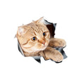 Style 3 Small 3D Stereo Cat Car Sticker Car Body Scratches And Occlusion Stickers - 3D Creative Stickers by PMC TechLife | Online Shopping South Africa | PMC TechLife