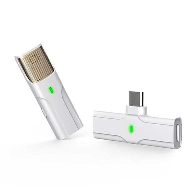 DS01 Outdoor Live Collar Microphone Collar Interview Recording Noise Reduction Wireless Microphone, Specification: Type-C / USB-C (White)