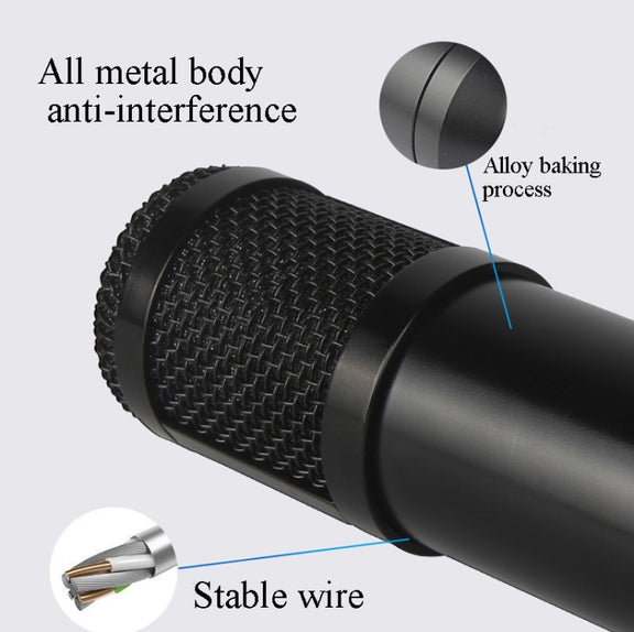 BM800 Condenser Microphone Set With USB Adapter(Black And Black Net)