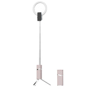 CYKE One-Piece Live Invisible Bracket Beauty Filling Light(Pink)
