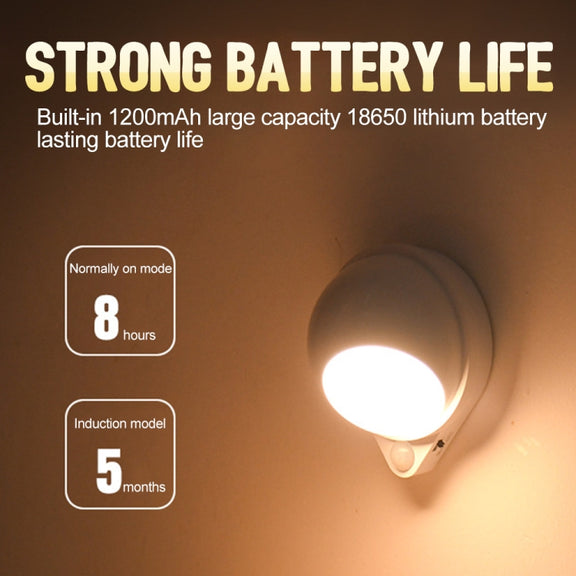 DMK-022PL LED Charge Automatic Stair Night Light(White Light)