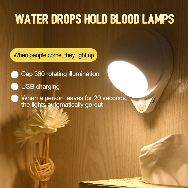 DMK-022PL LED Charge Automatic Stair Night Light(White Light)