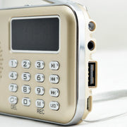 Y-619  FM/AM Mini Radio MP3 Rechargeable Music Player Support TF/SD Card with LED Display(Gold)
