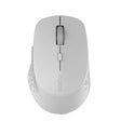 Rapoo M300G 1600DPI 3 Keys Laptop Office Silent Wireless Bluetooth Mouse(Light Gray) - free shipping - PMC TechLife - Order now!