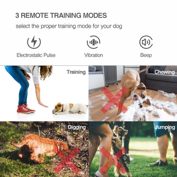 Intelligent Remote Control Dog Trainer Automatic Barking Stop Collar(White)