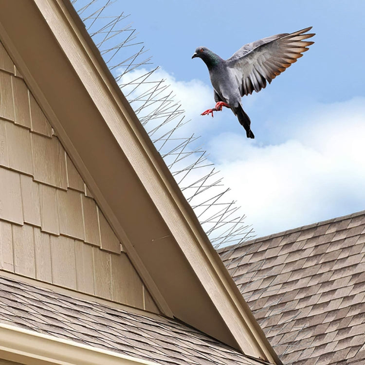 50cm Long Bird Repellent Anti-cat Thorn Stainless Steel Anti-bird Thorn