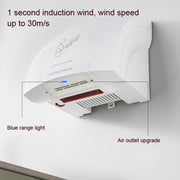 Interhasa 220V Automatic Electric Hand Dryer Mini  Induction Hand Drying Machine,Style: Hot and Cold,CN Plug