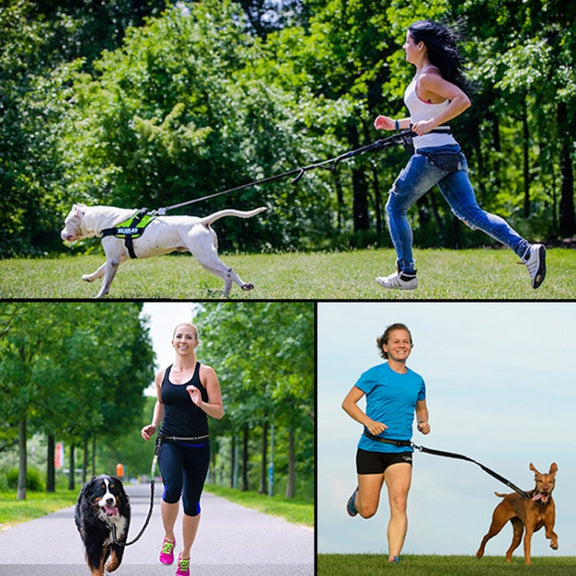 Pet Run Traction Rope Portable Waist Bag(Green)