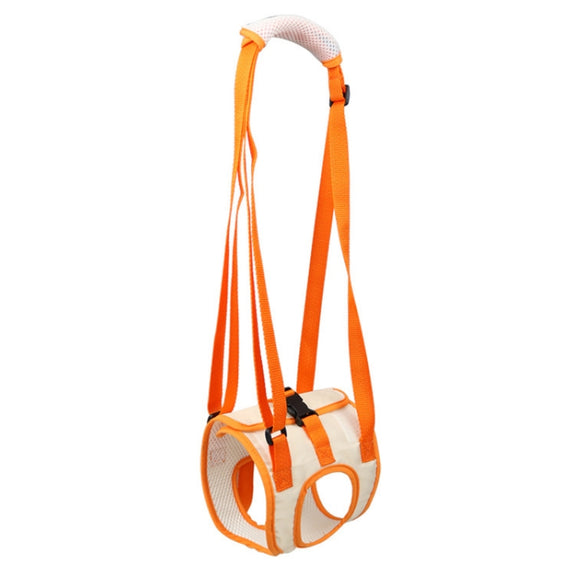 Pet Leash Assistive Belt For Postoperative Disabled Elderly Dogs Hind Legs M