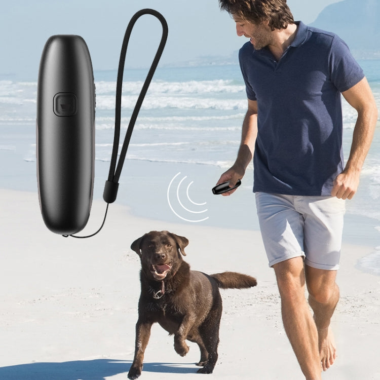 UB100 Ultrasonic Trainer Barking Device Handheld Portable Driving Artifact(Silver)