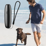 UB100 Ultrasonic Trainer Barking Device Handheld Portable Driving Artifact(Silver)