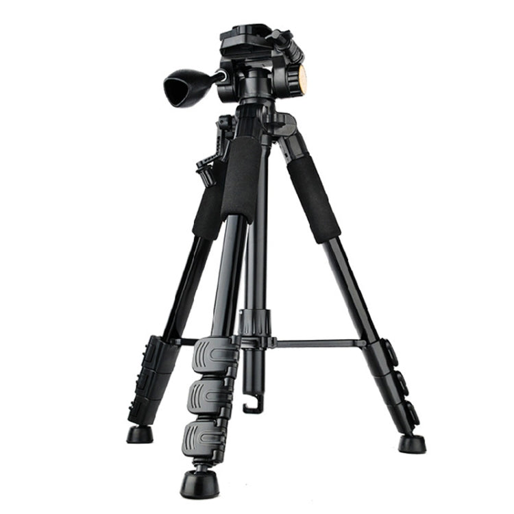 QingZhuangShiDai Q111 Aluminum Alloy Mobile Phone Camera Photography Tripod(Black)