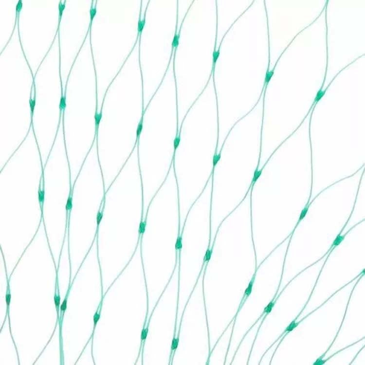 4Mx5M  Anti Bird Protection Net Mesh Garden Plant Netting Protect Plants and Fruit