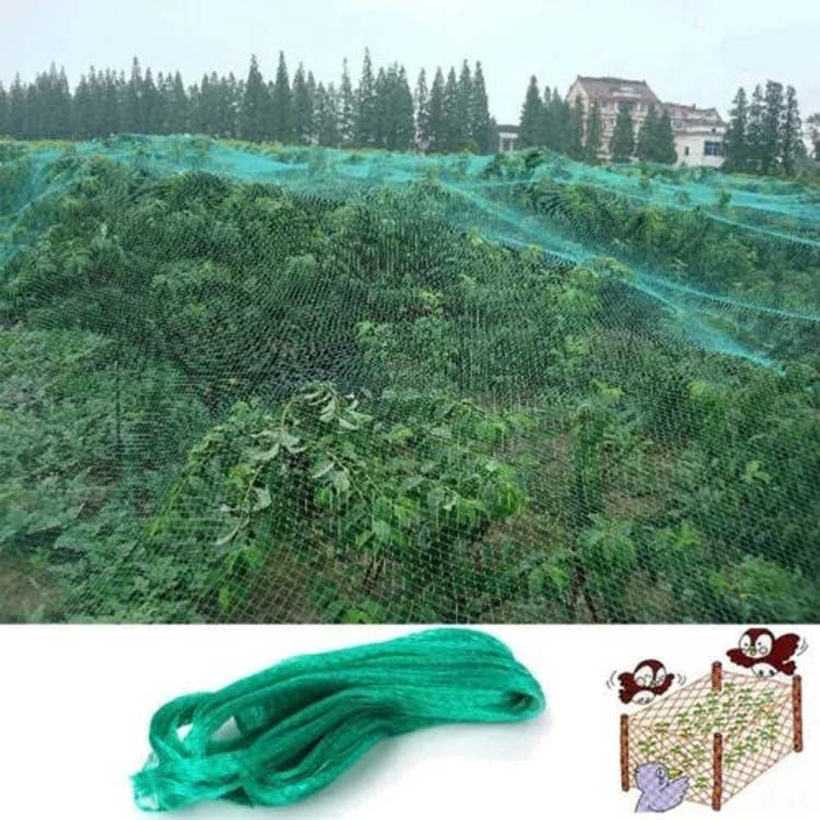 4Mx5M  Anti Bird Protection Net Mesh Garden Plant Netting Protect Plants and Fruit