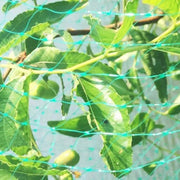 4Mx5M  Anti Bird Protection Net Mesh Garden Plant Netting Protect Plants and Fruit
