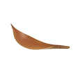 20-32 cm Cocoa Leaves Natural Plant Shooting Props Dry Flower Ornaments - Other Props by PMC TechLife | Online Shopping South Africa | PMC TechLife | Buy Now Pay Later Mobicred