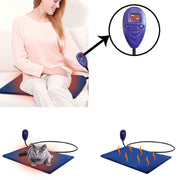 40x30cm Red 12V Low Voltage Multifunctional Warm Pet Heating Pad Pet Electric Blanket(EU Plug)