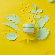 Paper-cut Leaf Ornaments Photography Props(Light Green)