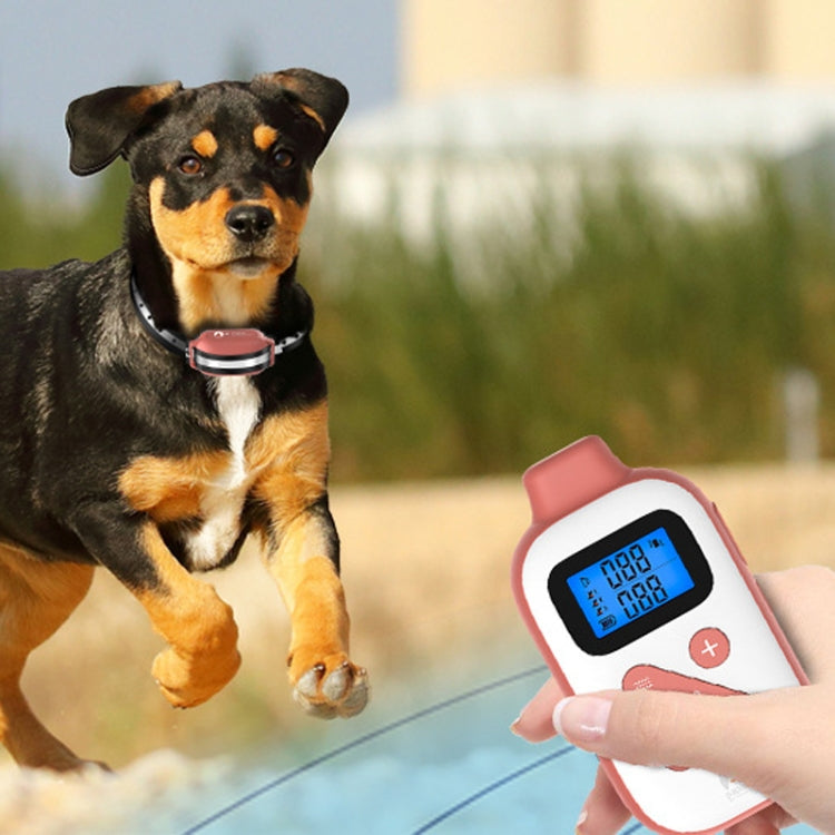 PaiPaitek PD523 1000m Remote Control Rechargeable Water-resistant Dog Trainer