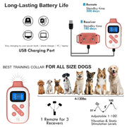 PaiPaitek PD523 1000m Remote Control Rechargeable Water-resistant Dog Trainer