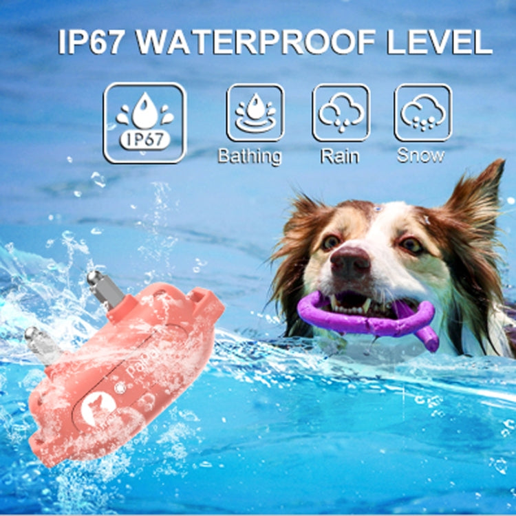 PaiPaitek PD523 1000m Remote Control Rechargeable Water-resistant Dog Trainer
