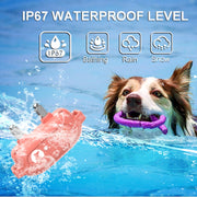 PaiPaitek PD523 1000m Remote Control Rechargeable Water-resistant Dog Trainer
