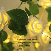SJ-SD054 LED Valentine Day Rose Indoor Party Decoration Lights(White Bottom Blue)