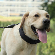 Cloth Tape Paste Detachable Training Stimulation Dog Collar, Size: S 2.5mm x 35cm(With Cap)