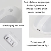 USB Rechargeable Firefly Smart Body Sensor LED Light(Natural Light)