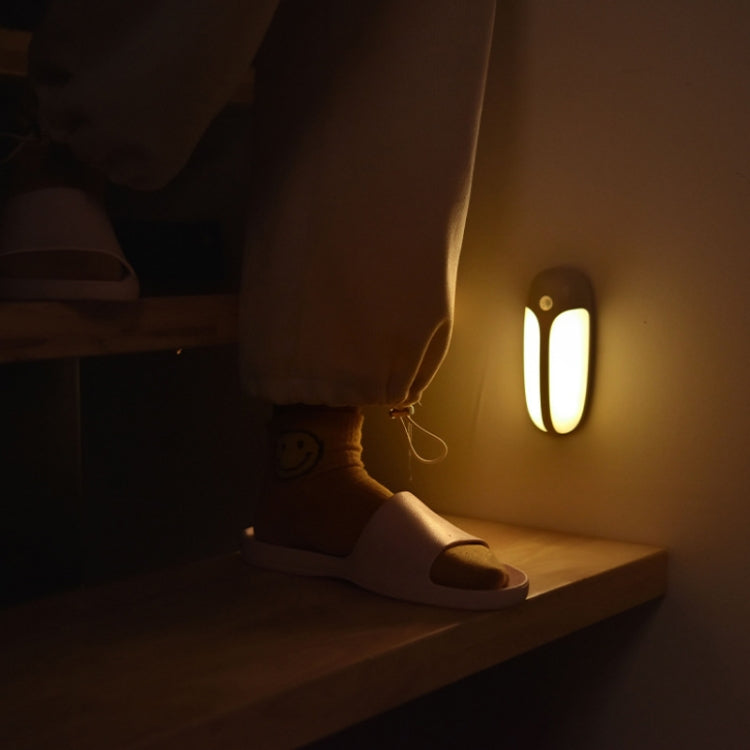 USB Rechargeable Firefly Smart Body Sensor LED Light(White Light)