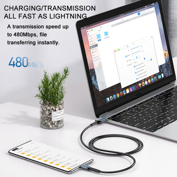 REMAX RC-C008  USB To 8 Pin 2.4A TPE Soft Anti-breakage Data Cable,Length 1m(White)