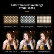 E800 3-color Temperature 40W 3200K-5600K LED Flat Panel Lights Live Broadcast Fill Light,EU Plug