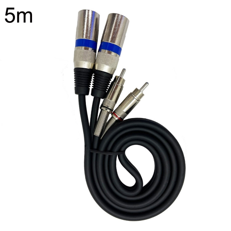 2RCA Male 2XLR Caron Male Speaker Audio Balance Cable, Length: 5m