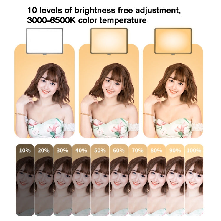 10 Inch 3000-6500K Three-color Temperature Photography Flat-panel Live Fill Light,Spec: Only Light