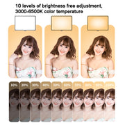 10 Inch 3000-6500K Three-color Temperature Photography Flat-panel Live Fill Light,Spec: 30cm Bracket
