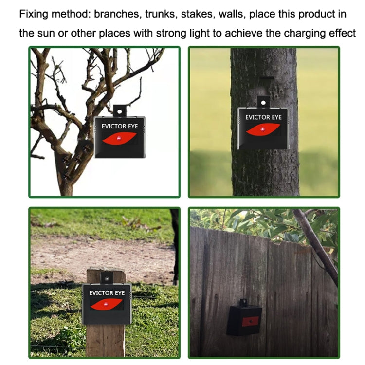 SK191 2pcs Solar Farm Wild Eagle Eye Animal Repeller