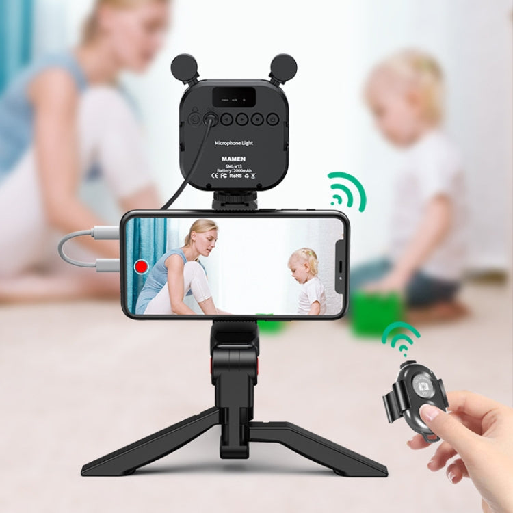 KIT-11LM Tripod Fill Light With Microphone Vlogging Kit For Live Phone Recording(Black)